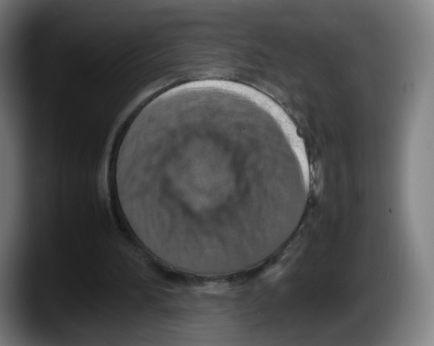 X0000087600196200705251929