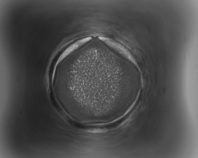 X0000087600198200705251929