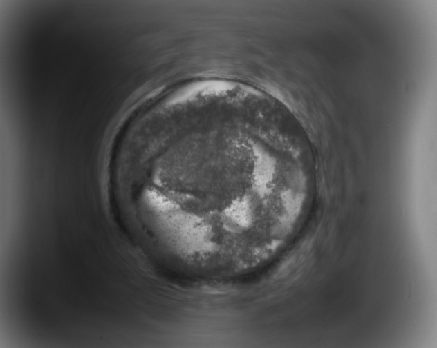 X0000087600199200705251929