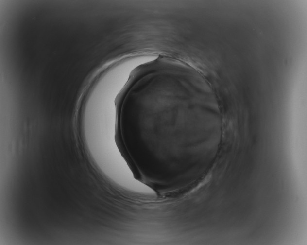 X0000087600200200705251929