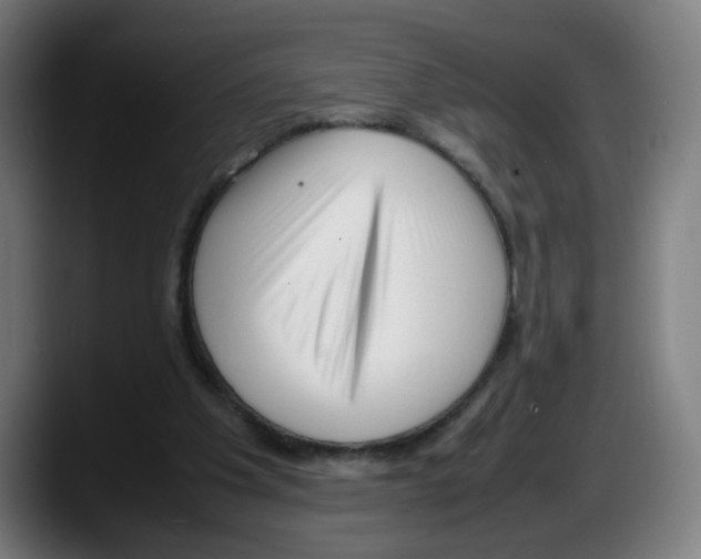 X0000087600201200705251929