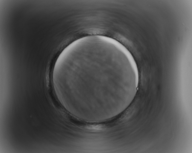 X0000087600202200705251929