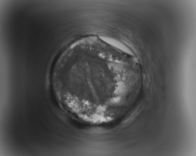 X0000087600203200705251929