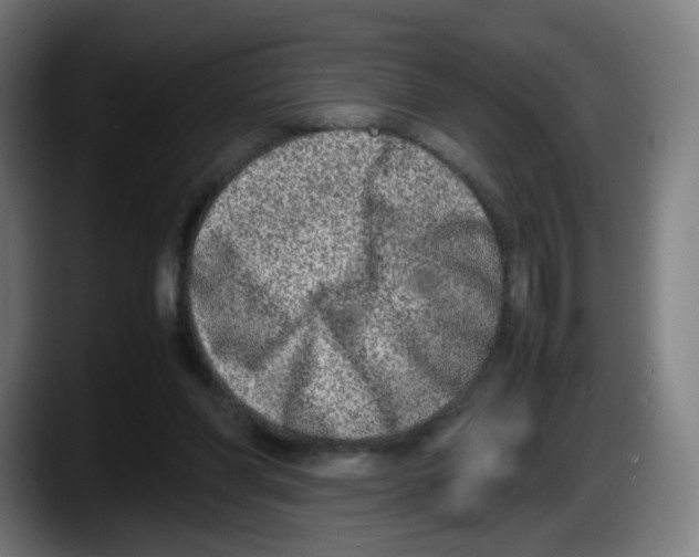 X0000087600206200705251929