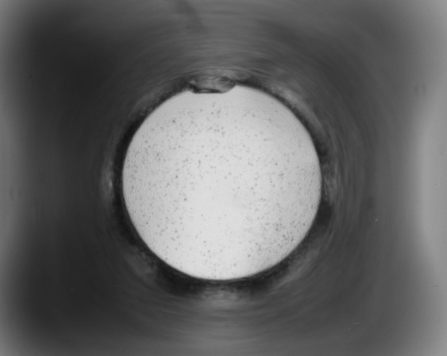 X0000087600207200705251929