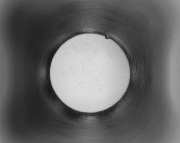 X0000087600208200705251929