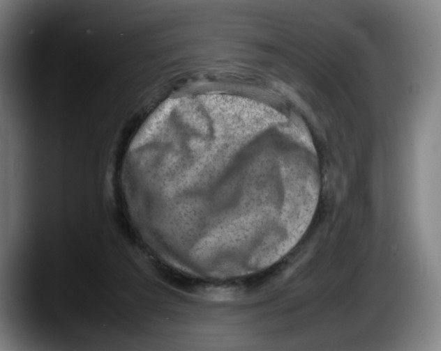 X0000087600209200705251929