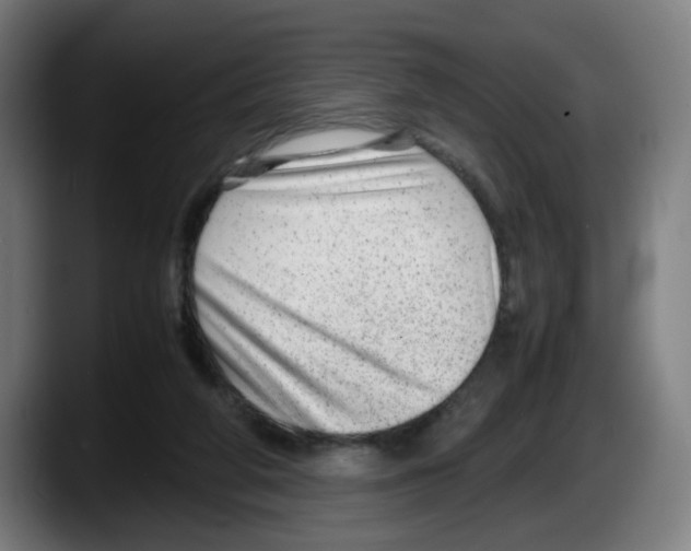 X0000087600210200705251929