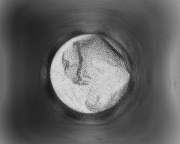 X0000087600211200705251929