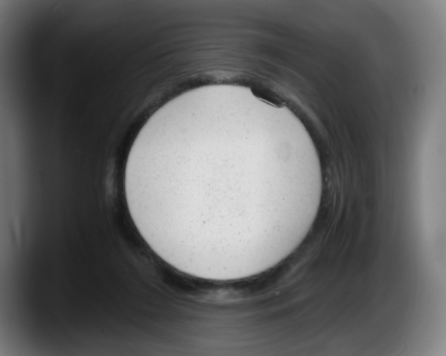 X0000087600212200705251929