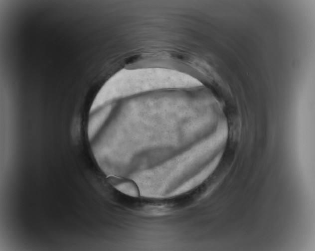 X0000087600213200705251929