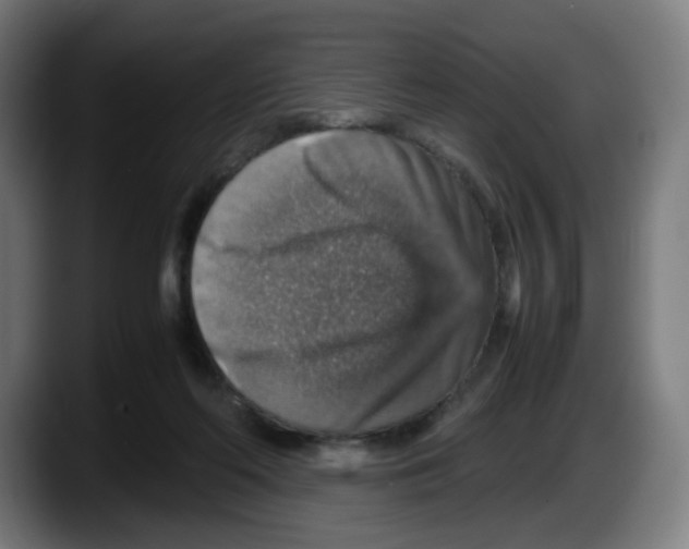 X0000087600214200705251929