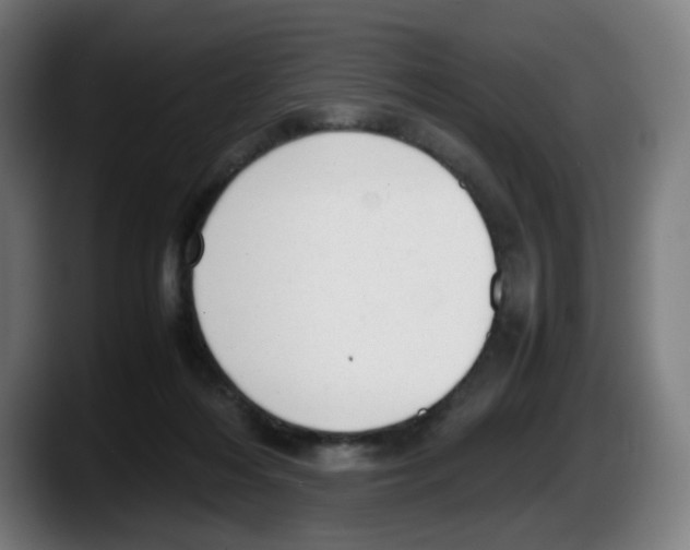 X0000087600216200705251929