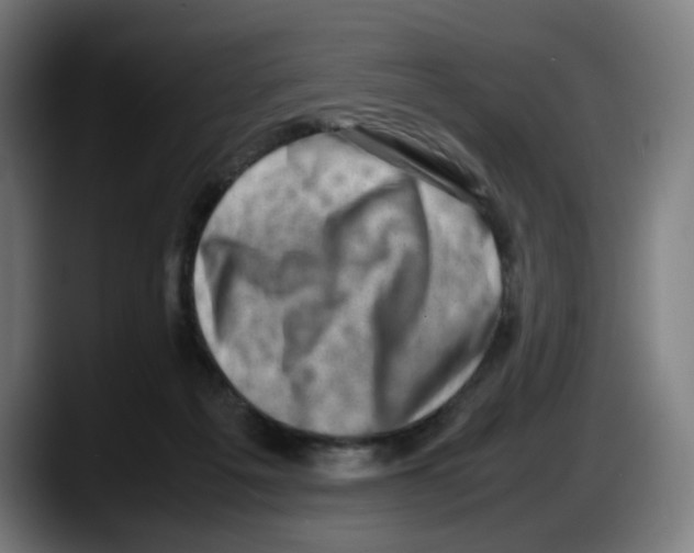 X0000087600217200705251929