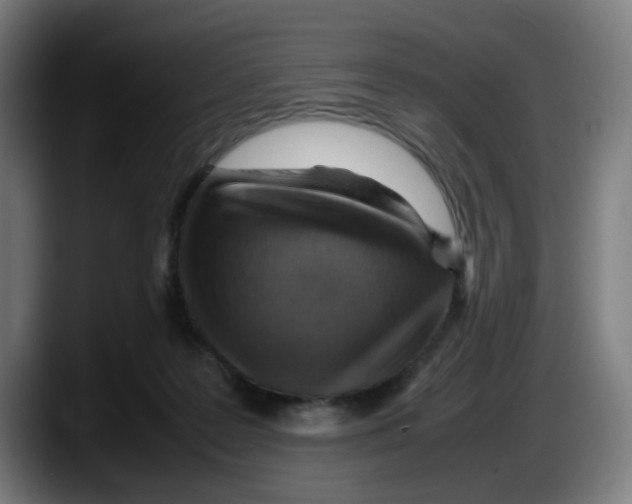 X0000087600219200705251929