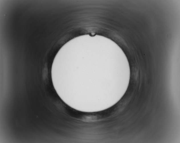 X0000087600220200705251928