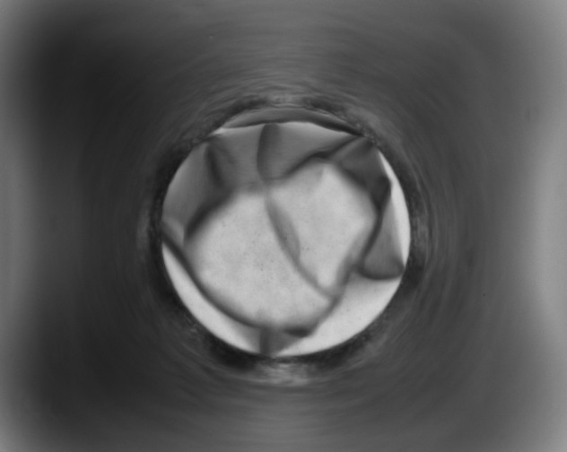 X0000087600221200705251928