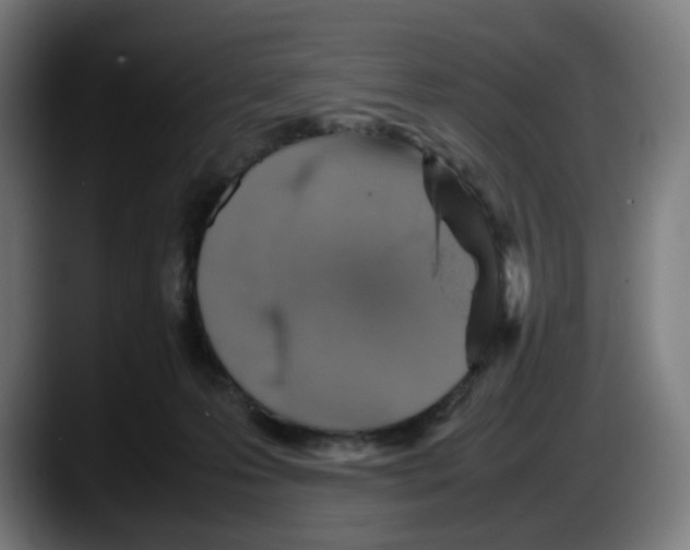 X0000087600223200705251928