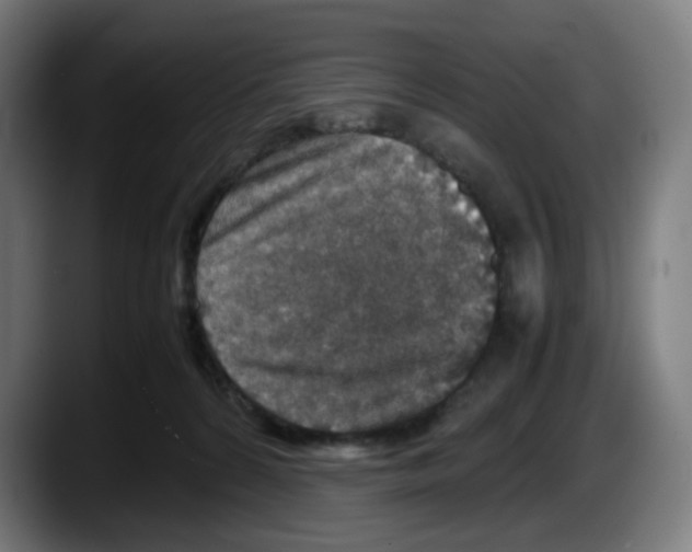 X0000087600224200705251928