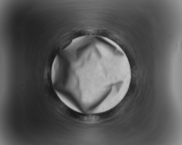 X0000087600225200705251928