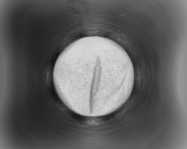 X0000087600226200705251928