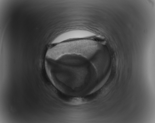 X0000087600227200705251928