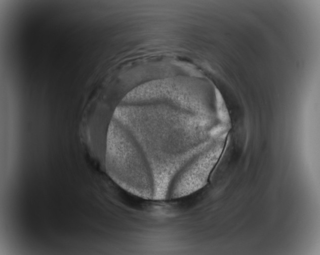 X0000087600229200705251928