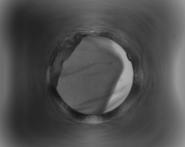 X0000087600231200705251928