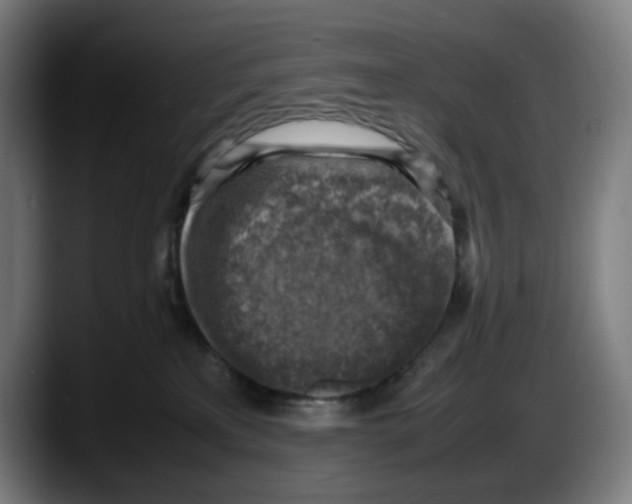 X0000087600233200705251928