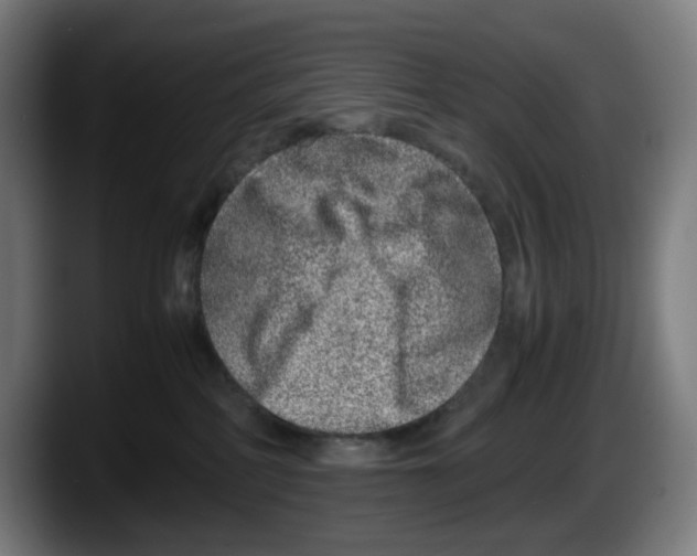 X0000087600234200705251928