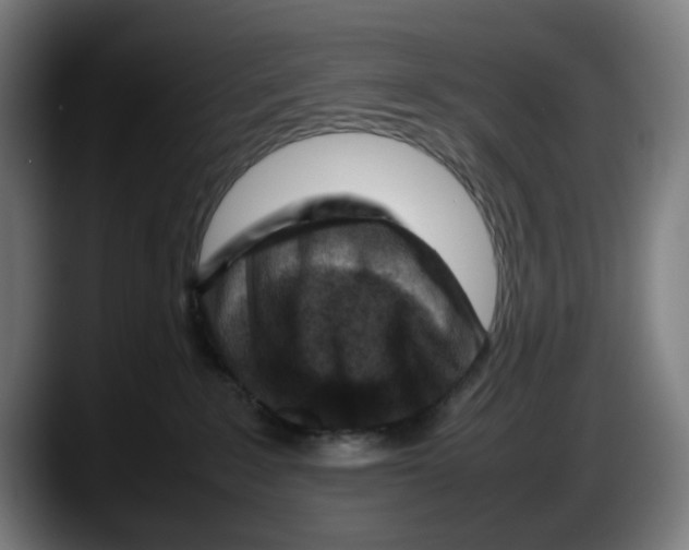 X0000087600235200705251928