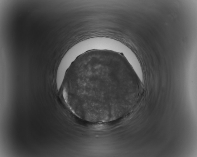 X0000087600237200705251928