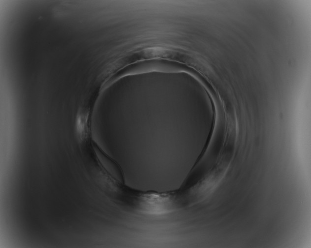 X0000087600239200705251928