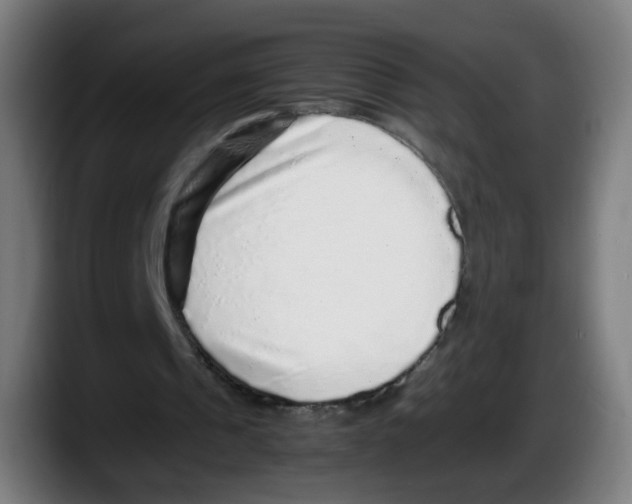 X0000087600241200705251928