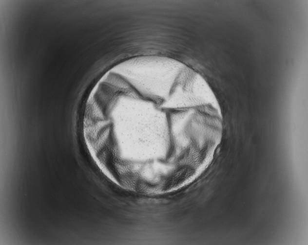 X0000087600242200705251928