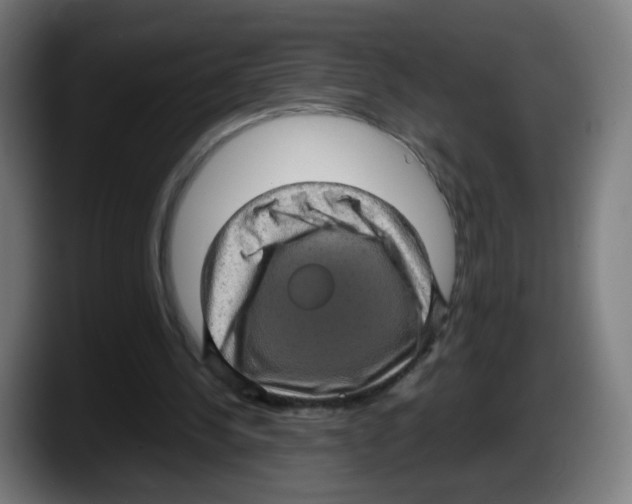 X0000087600244200705251928