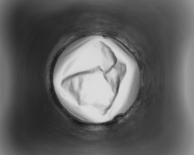 X0000087600245200705251928