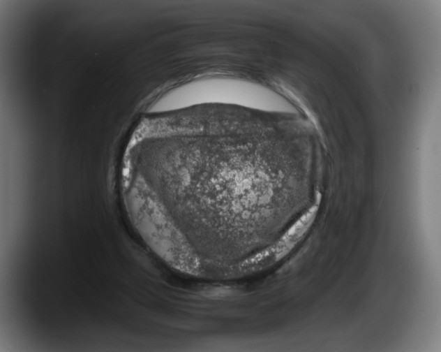 X0000087600249200705251928