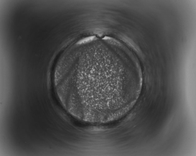 X0000087600250200705251928