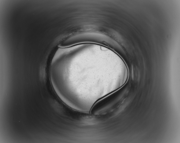 X0000087600252200705251928
