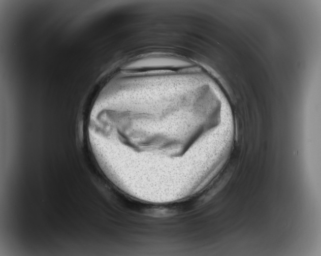 X0000087600253200705251928