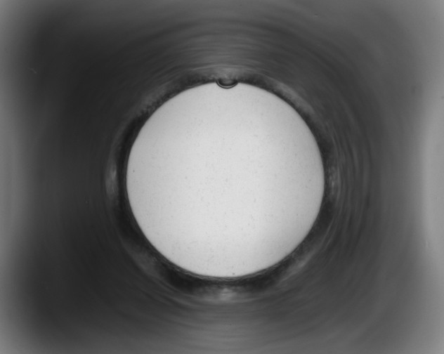 X0000087600254200705251928