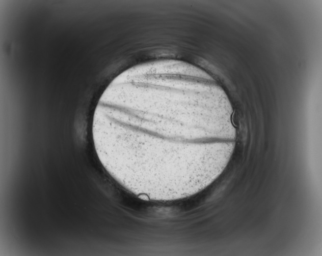 X0000087600255200705251928