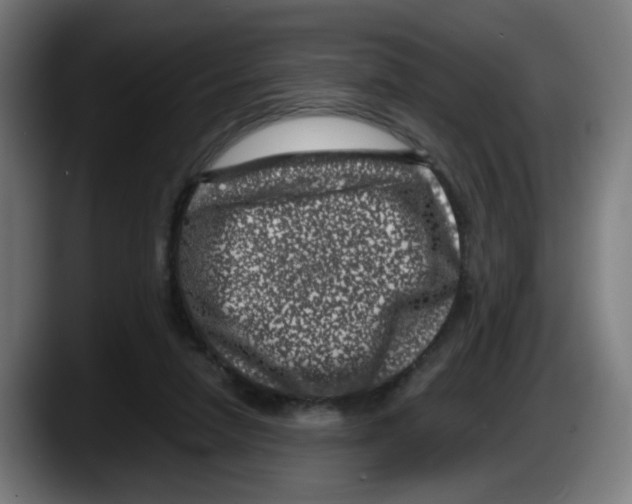 X0000087600258200705251928