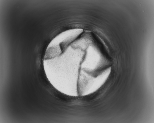 X0000087600259200705251928