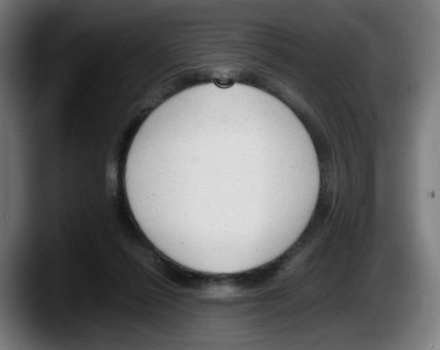 X0000087600262200705251928