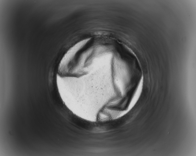 X0000087600263200705251928