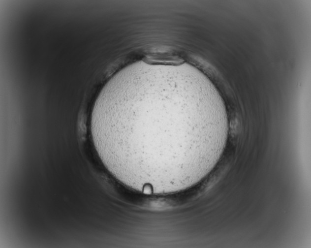 X0000087600264200705251928