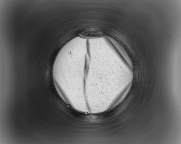 X0000087600265200705251928