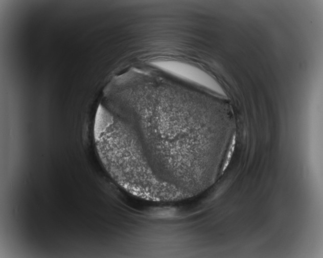 X0000087600266200705251928